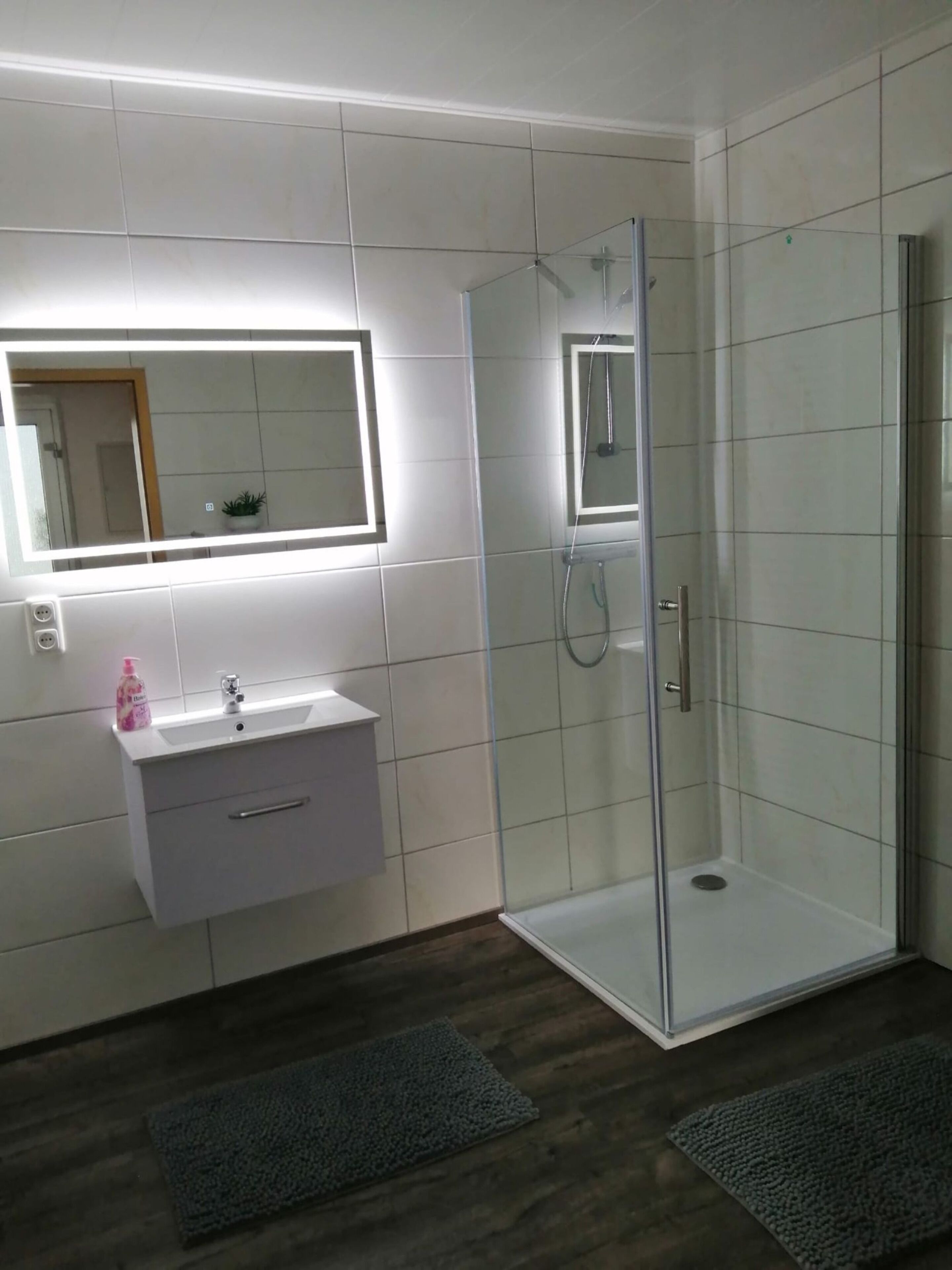 Apartment | Bathroom | Shower, hair dryer, towels