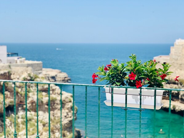 Un balcon orné d’un jardinier blanc contenant des fleurs rouges, d’où l’on peut admirer une côte rocheuse et la mer.