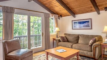 Smart TV, fireplace, DVD player, books