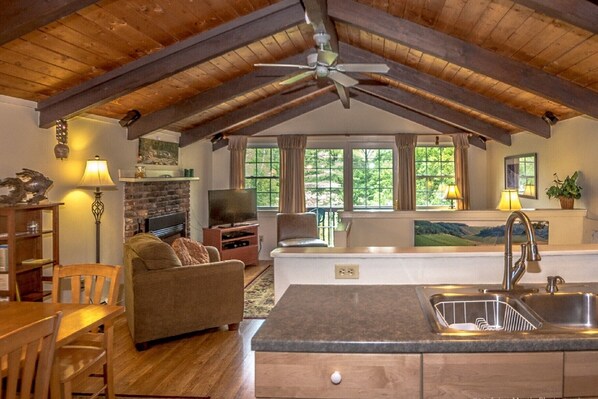 Smart TV, fireplace, DVD player, books