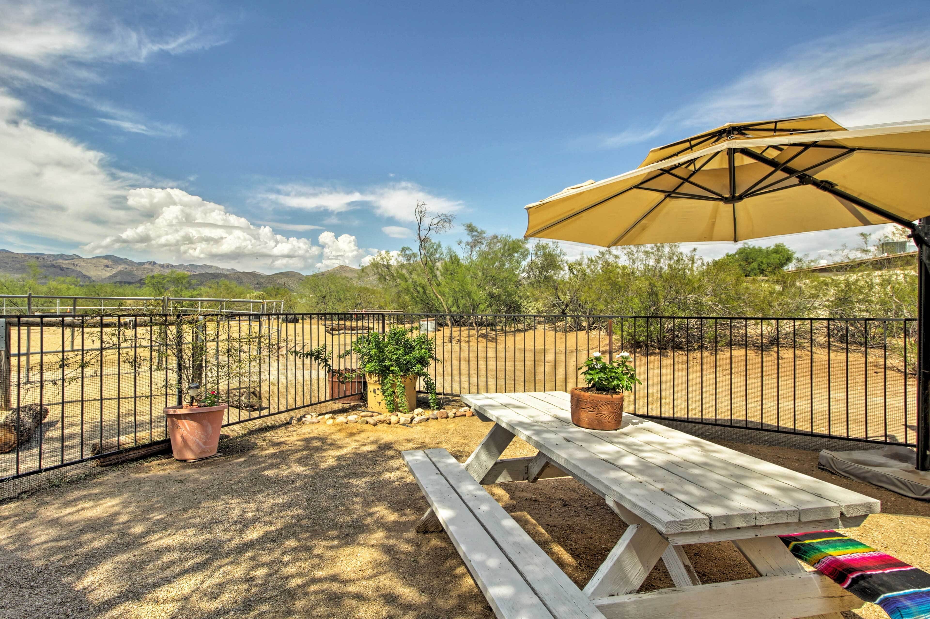 Tucson Casita w/ Fireplace: View Animals & Mtns