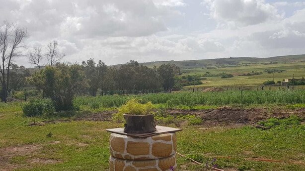 Paisaje rural con una estructura de piedra en primer plano, un campo y una línea de árboles distante bajo un cielo nublado.