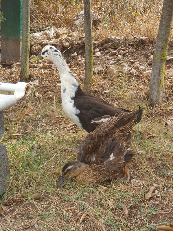 Exterior - Maison La Branche D'oiseaux (El Jadida)