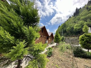 Extérieur