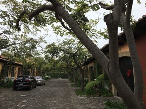 Pemandangan dari properti