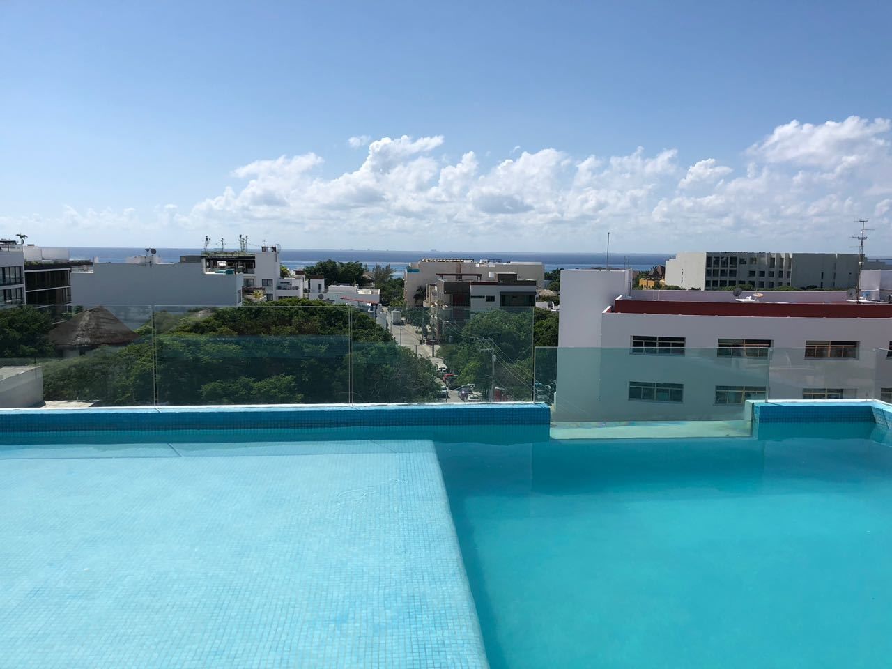 A rooftop swimming pool with a clear view of the ocean and surrounding buildings.