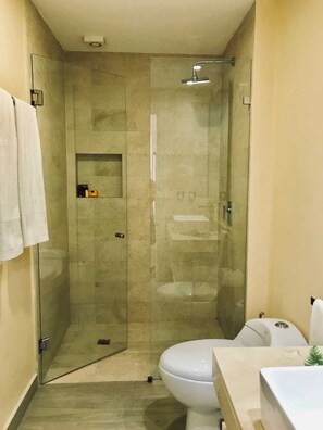 Une salle de bain avec une douche à parois de verre, des toilettes et un lavabo.