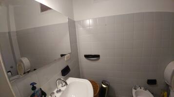 Combined shower/tub, free toiletries, hair dryer, bidet