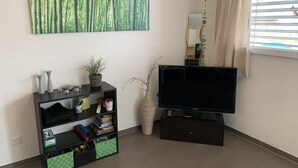 A living room with a flat-screen TV, a bookshelf, a decorative plant, and a wall-mounted mirror. - Nice countryside studio near city (Formangueires)
