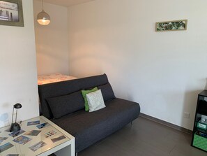 TV connectée, cheminée, jeux vidéo, lecteur de DVD