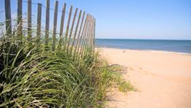 Une plage avec une clôture en bois et de hautes herbes au premier plan.