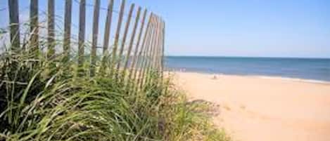 Beach nearby, beach umbrellas