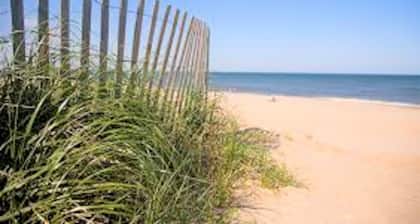 The Original Best Kept Secret in Dewey Beach Since 2001 Dog Friendly Ocean View