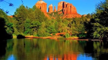 Escape to a serene natural oasis surrounded by lush greenery and a tranquil body of water.