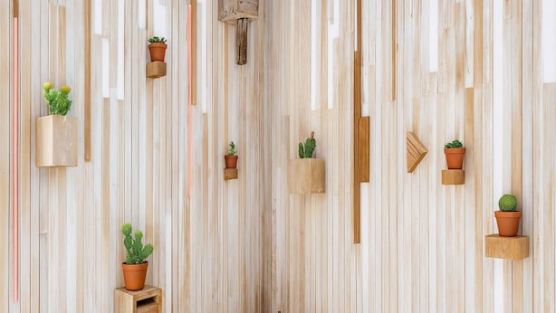 Een kamer met verticale houten lambrisering, verschillende houten planken met potplanten, en een klein houten tafeltje met enkele decoratieve kegels.