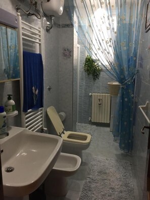 Dusche, Haartrockner, Bidet, Handtücher