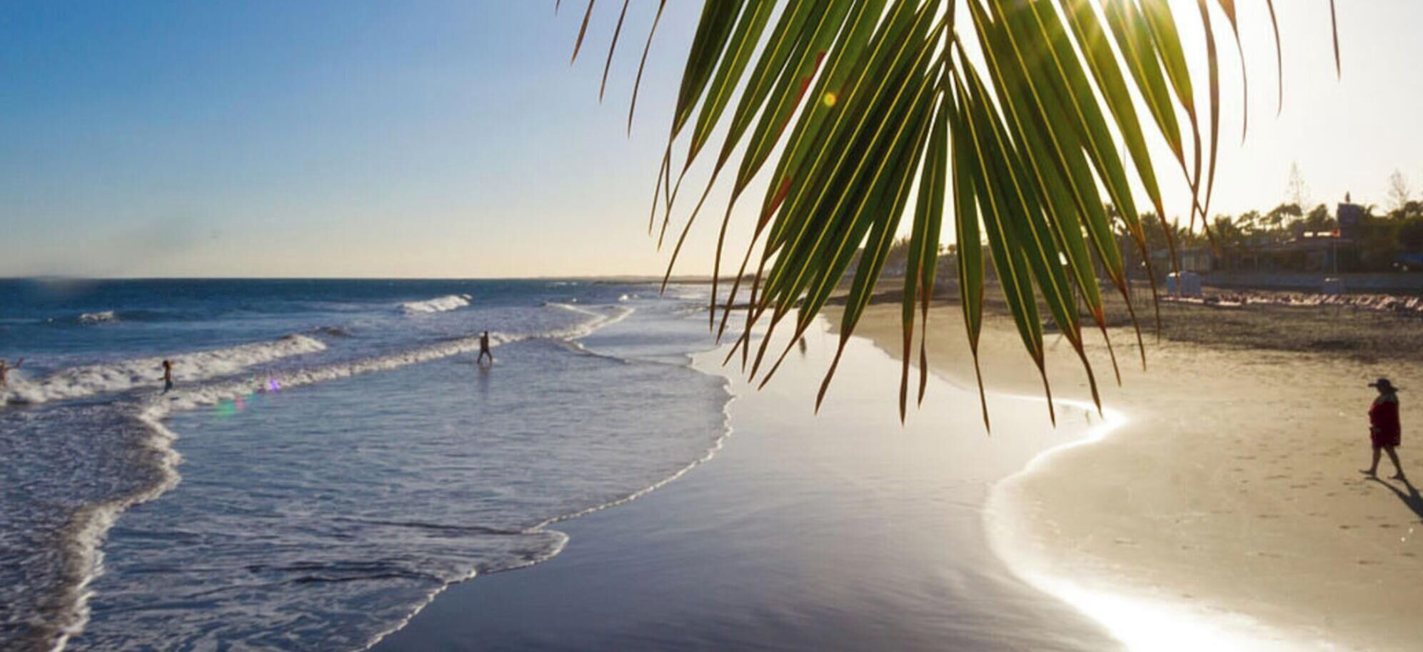 Una playa con una palmera, olas del océano y una persona caminando.