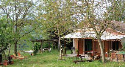 Nespoli: House / Villa -Hillside house in the middle of nature