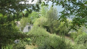 Una casa rústica rodeada de abundante vegetación y árboles.