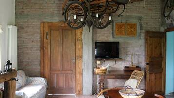 TV, fireplace, DVD player, books