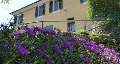 Ensoleillé maison, dans un petit village ligure, à 15 minutes de la mer 