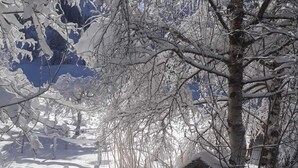 Paisaje nevado con una cabaña de madera y un árbol en primer plano.
