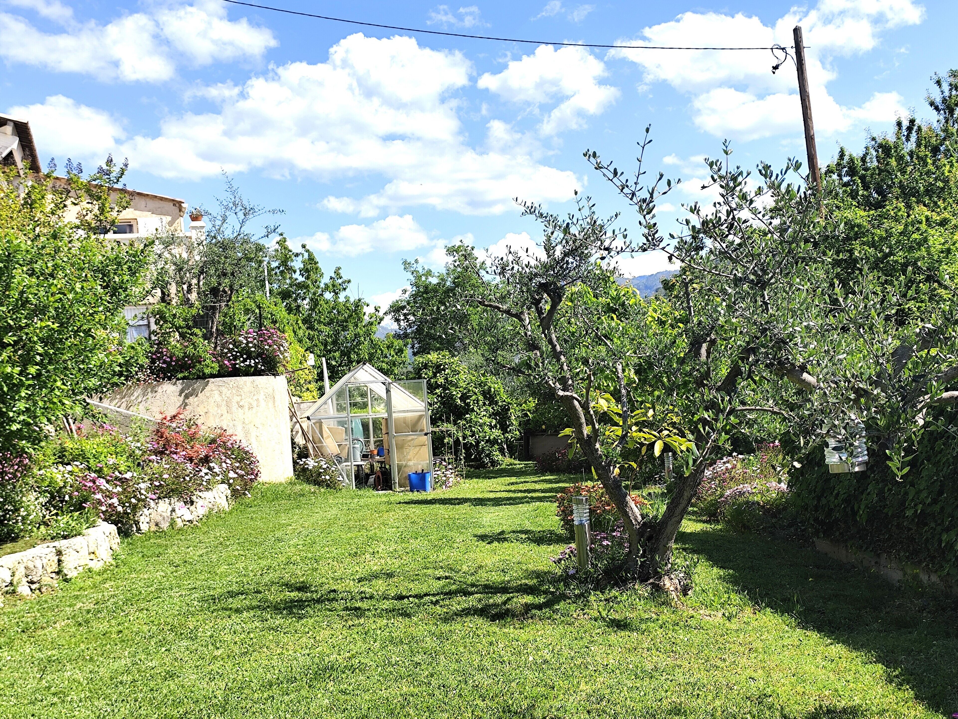 A garden with a greenhouse, stone wall, and various plants.