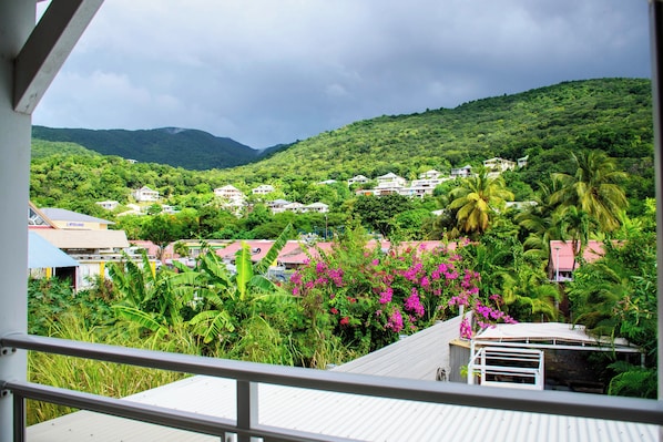 A residential area with houses surrounded by lush greenery and hills in the background.