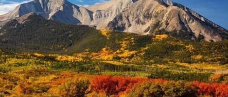 Un paysage montagneux avec un sommet imposant, des zones boisées et un feuillage aux couleurs automnales.