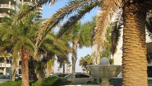 A landscaped area with palm trees, a fountain, and a parking lot with cars. - The Pearl #304 - FREE BEACH SETUP March-October! (Navarre Beach)