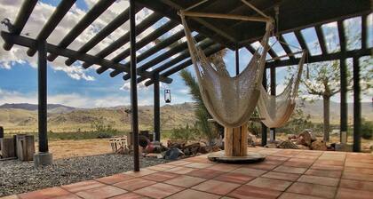 The Clever Rabbit Joshua Tree @ Park West Entrance