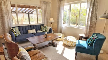 Smart TV, fireplace, DVD player, video library