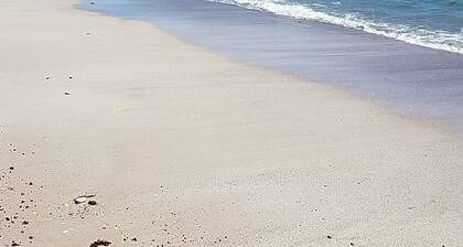 AMAZING VIEWS from this spacious 2 bed 2 bath