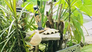 Een strandthema decoratie met een 'SAND BAR OPEN' bord, schelpen en een strandbal.