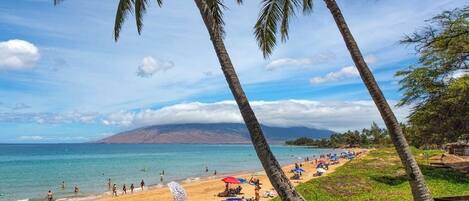 Playa en los alrededores