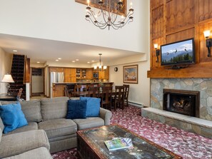 Televisión, chimenea, reproductor de DVD y libros