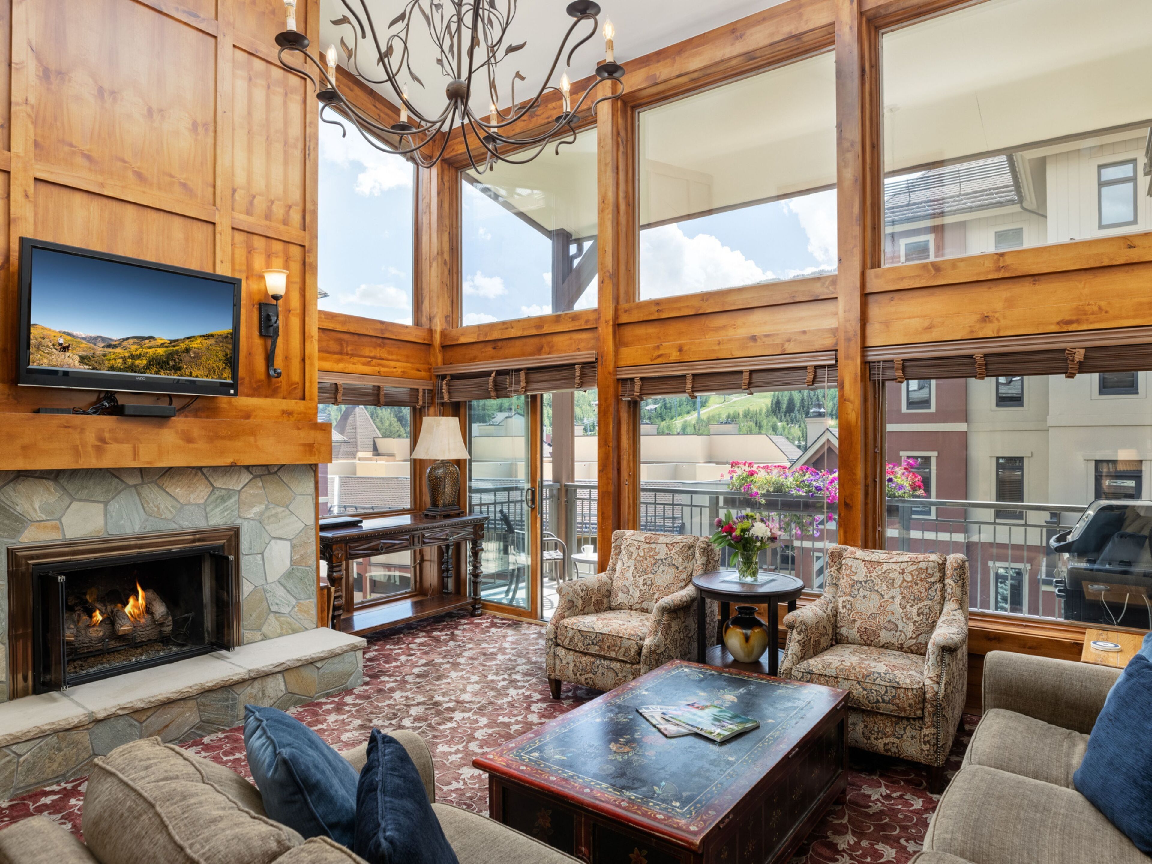 TV, fireplace, DVD player, books