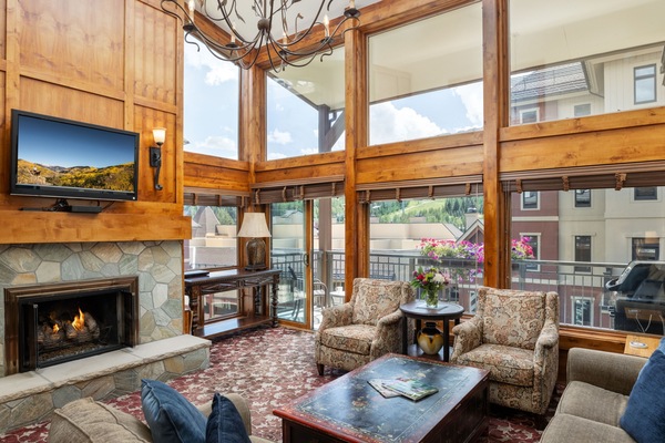 TV, fireplace, DVD player, books