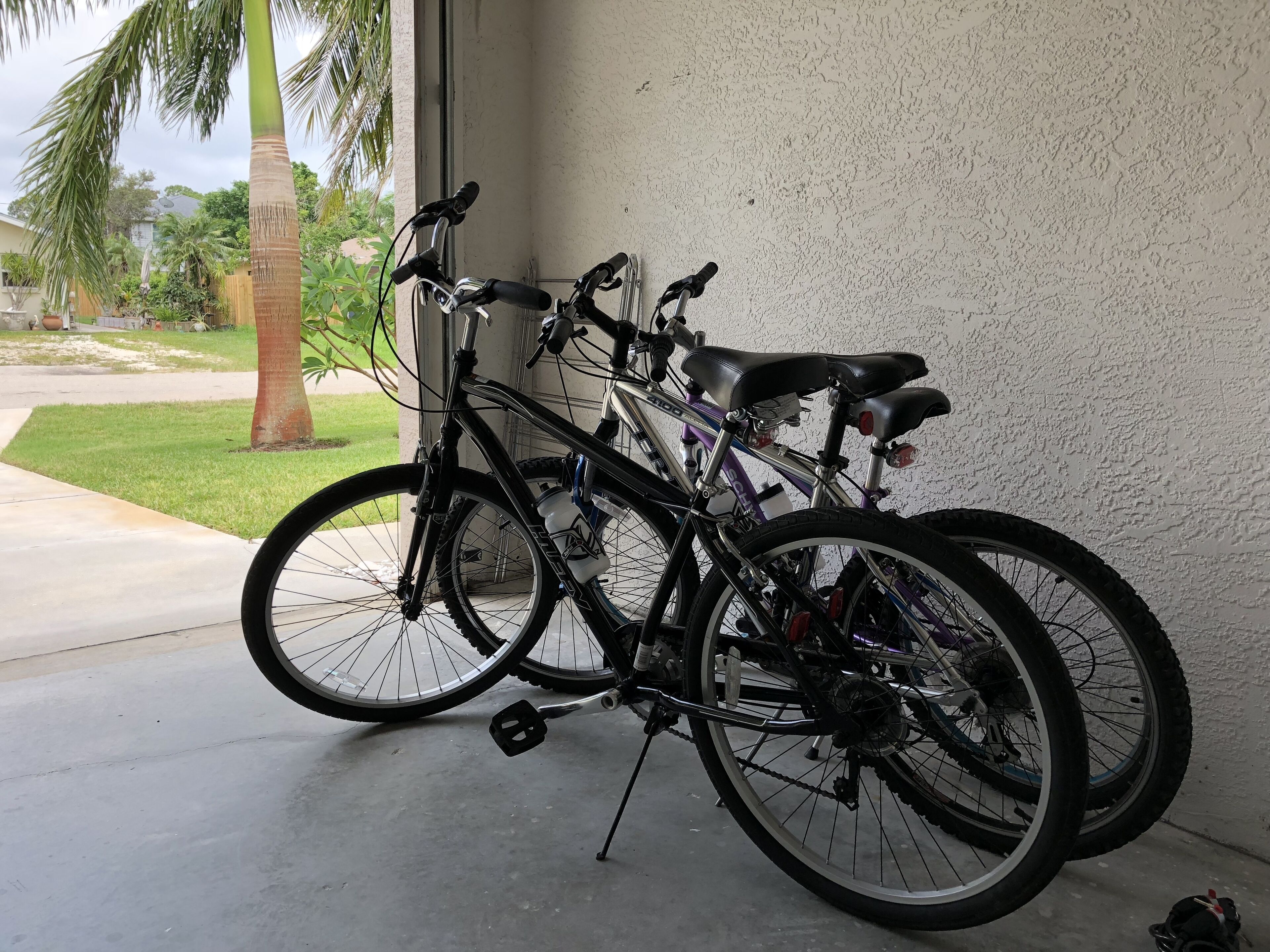 Two bicycles parked indoors near a window with a view of a grassy area and palm trees outside.