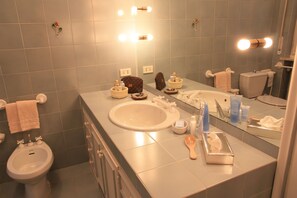 Combined shower/bathtub, free toiletries, hair dryer, bidet