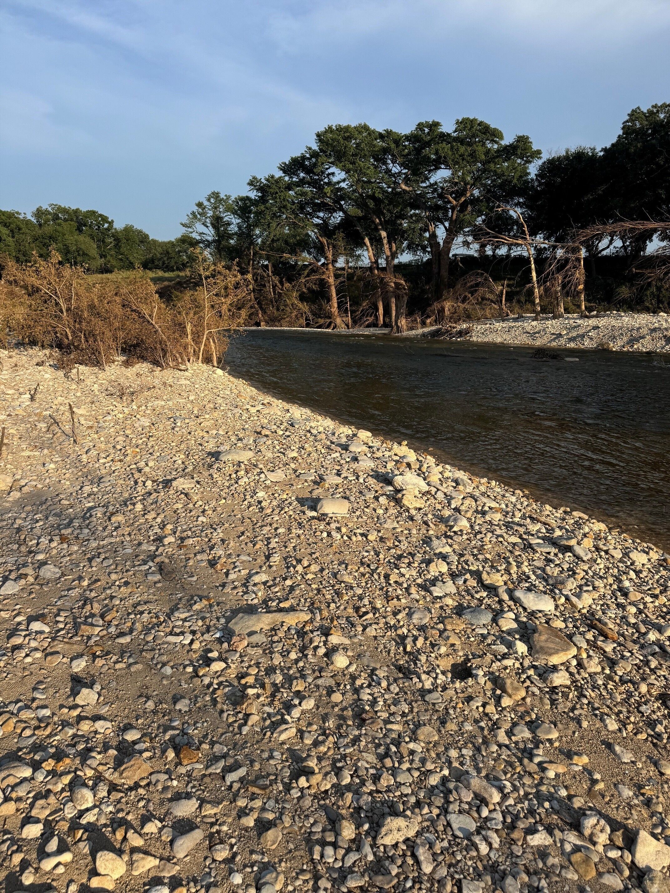 A rocky riverbank with trees in the background.