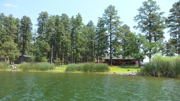 Une cabane au bord d’un lac, entourée de grands arbres.