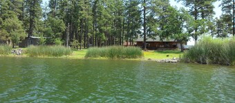 NEW! 4 Acre Lakefront Cabin in the Tall Pines