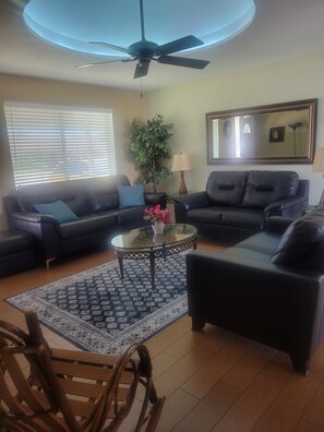 智能电视、壁炉、DVD 播放器、书