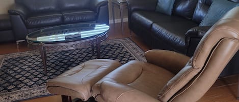 Smart TV, fireplace, DVD player, books
