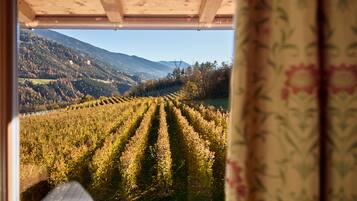 Comfort Apartment, 2 Bedrooms, Mountain View | View from room