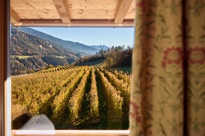 Comfort-Apartment, 2Â Schlafzimmer, Bergblick | Ausblick vom Zimmer