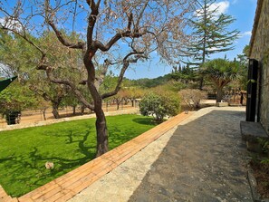 A courtyard with a paved walkway, a grassy area, and trees.