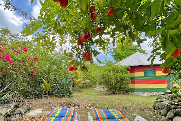 Vista desde la habitación