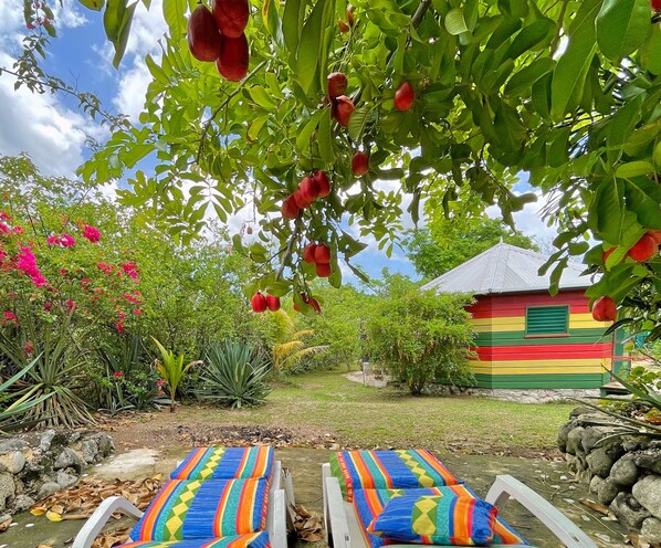 Economy Cabin | View from room